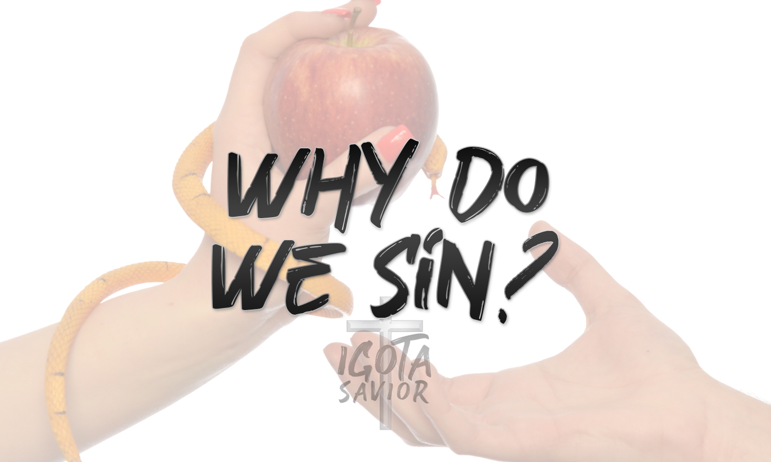 Why Do We Sin?