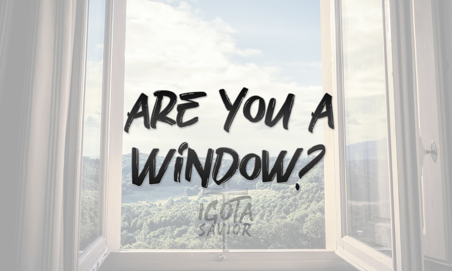 Are You A Window?