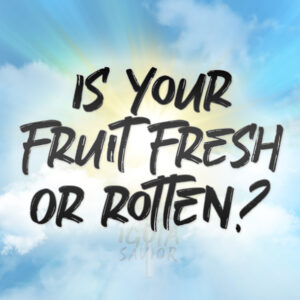 Is Your Fruit Fresh Or Rotten?