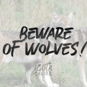 Beware Of Wolves!