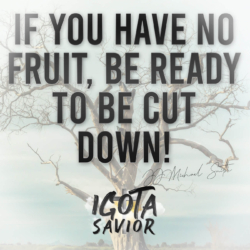 If You Have No Fruit, Be Ready To Be Cut Down!