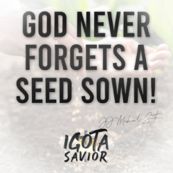 God Never Forgets A Seed Sown!