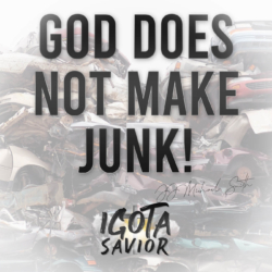 God Does Not Make Junk!
