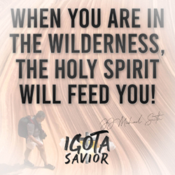 When You Are In The Wilderness, The Holy Spirit Will Feed You!