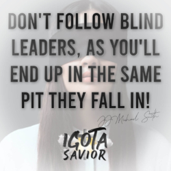 Don't Follow Blind Leaders, As You'll End Up In The Same Pit They Fall In!