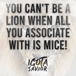 You Can't Be A Lion When All You Associate With Is Mice!